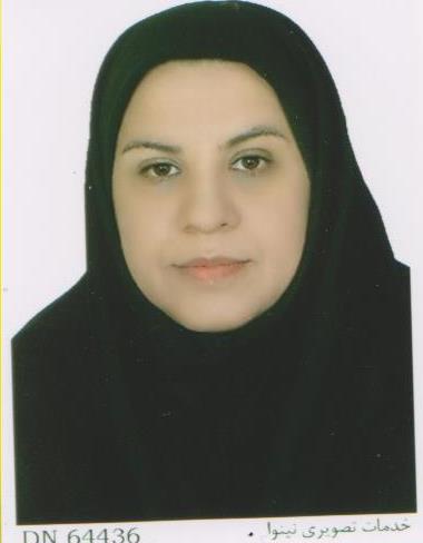 نجما پورچیت ساز