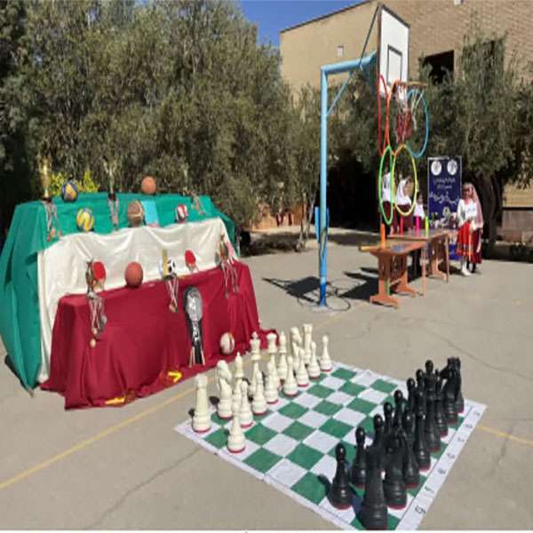 المپیاد ورزشی